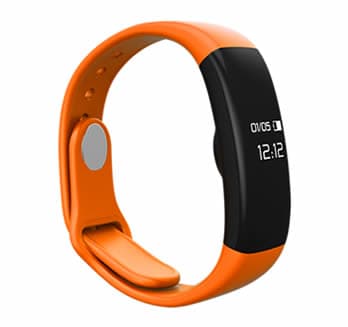 WFit 13